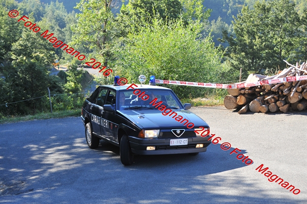 DSC_9550.JPG